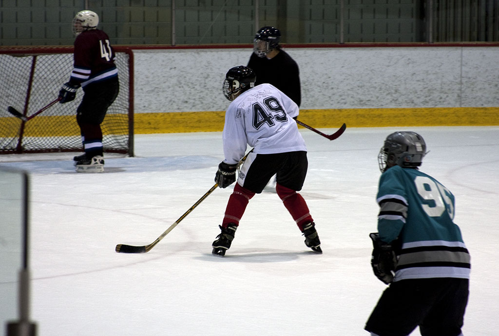 dgt_hockey (2)